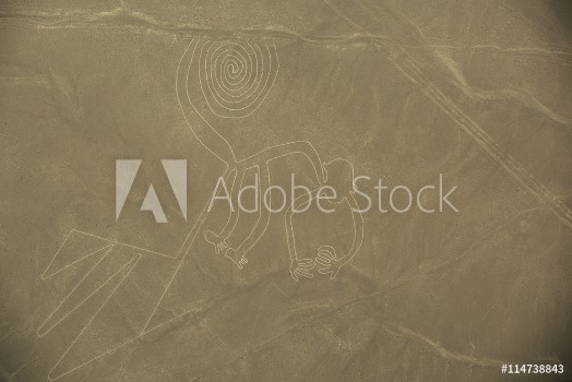 Picture of Nazca Lines The Monkey